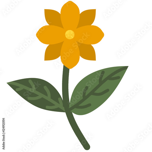 yellow flower isolated on white background