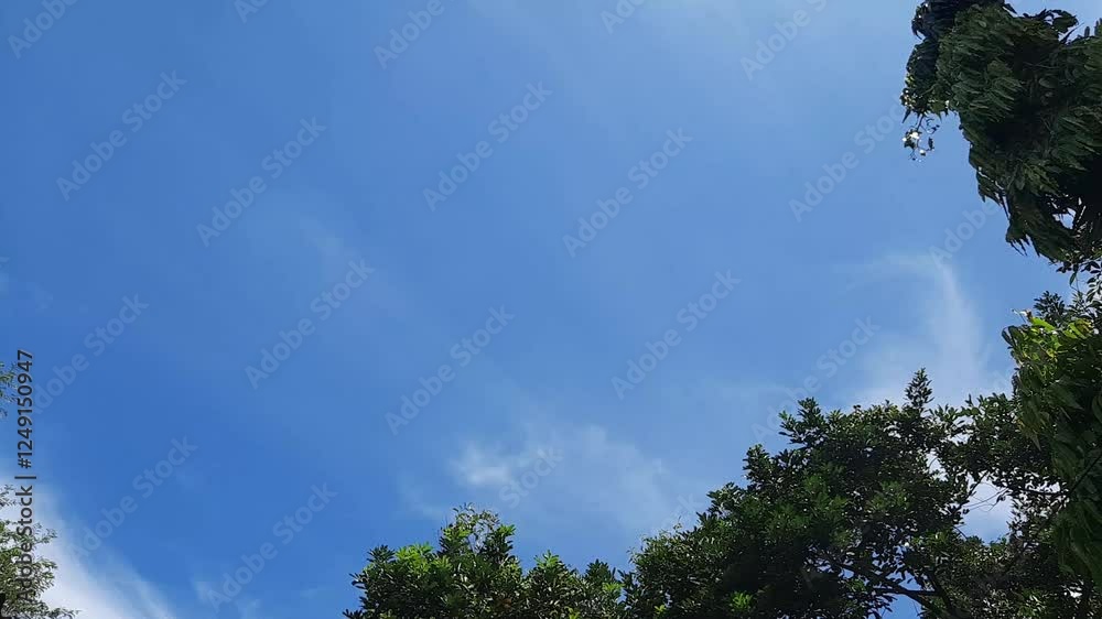 timelapse of the blue sky view full of clouds timelapse of the blue sky view full of clouds
