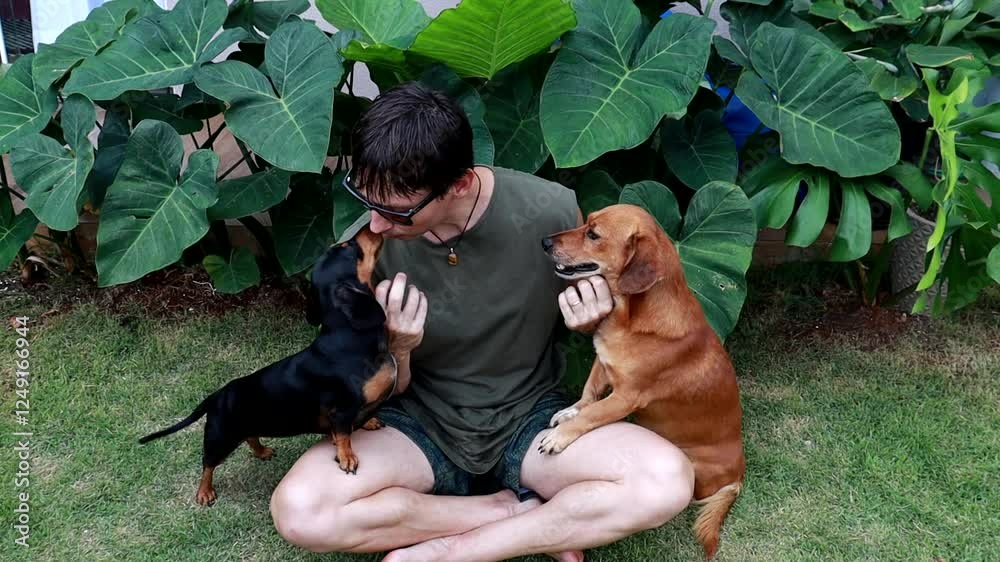 homem faz carinho em cachorro doméstico 