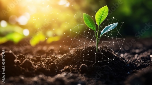 Carbon sequestration in farming, rich soil absorbing CO2, AI tracking carbon levels in an organic regenerative farm