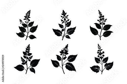 Catmint (Nepeta spp.) silhouette vector art illustration