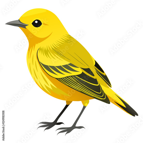 Yellow warbler on white background.