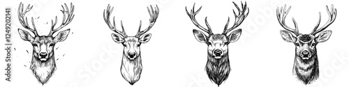 Hand-drawn illustration of a modern vintage deer head in engraving style, with the animal portrait isolated on a white background