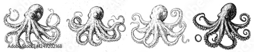 Sketch an octopus. Hand-drawn illustration transformed into a modern style