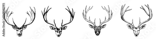 Handcrafted antler in a modern style, inspiration for a hunting logo