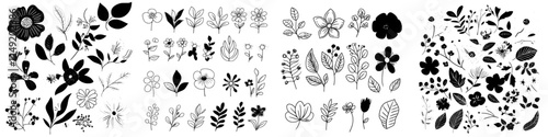 A modern collection of separate floral motifs featuring hand-drawn blossoms on a white backdrop
