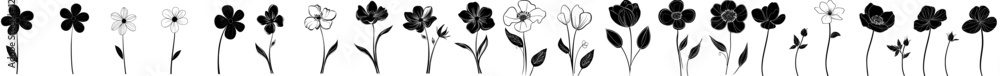 A modern set featuring hand-drawn black flower paintings. Ink drawings of flowers and leaves A modern set featuring hand-drawn black flower paintings. Ink drawings of flowers and leaves