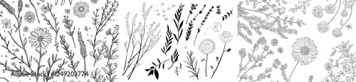 A contemporary outline illustration of the Herb Flower Set. Including hand-drawn calendula and medicinal chamomile clipart. The design showcases black line art of officinalis wildflower and leaves,