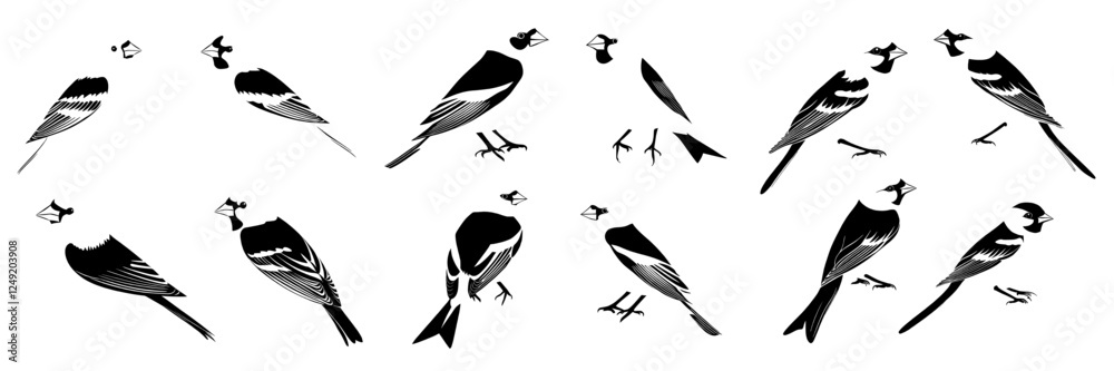 Fototapeta premium vector illustration of birds, including a hand-drawn American goldfinch (Spinus tristis), as a collection of isolated nature design elements