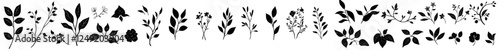 Retro branches and leaves paired with hand-drawn artistic field herbs in black ink. Themes of vintage botanical florals