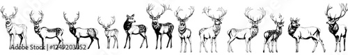Illustration of an isolated deer set in ink with a northern reindeer background stag silhouette art
