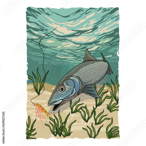 bonefish fishing illustration logo vector image t shirt