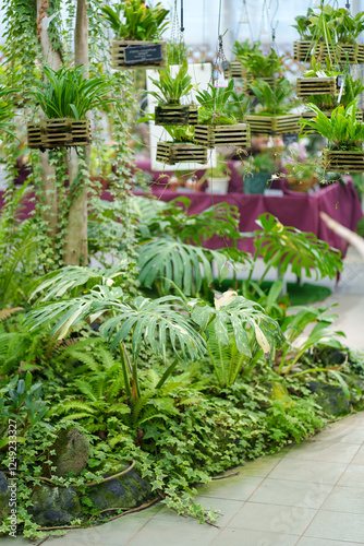 神代植物公園　大温室（蘭室）（東京都調布市） photo