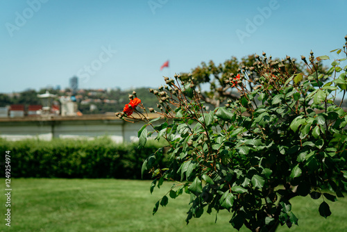 Istanbul, Turkey.