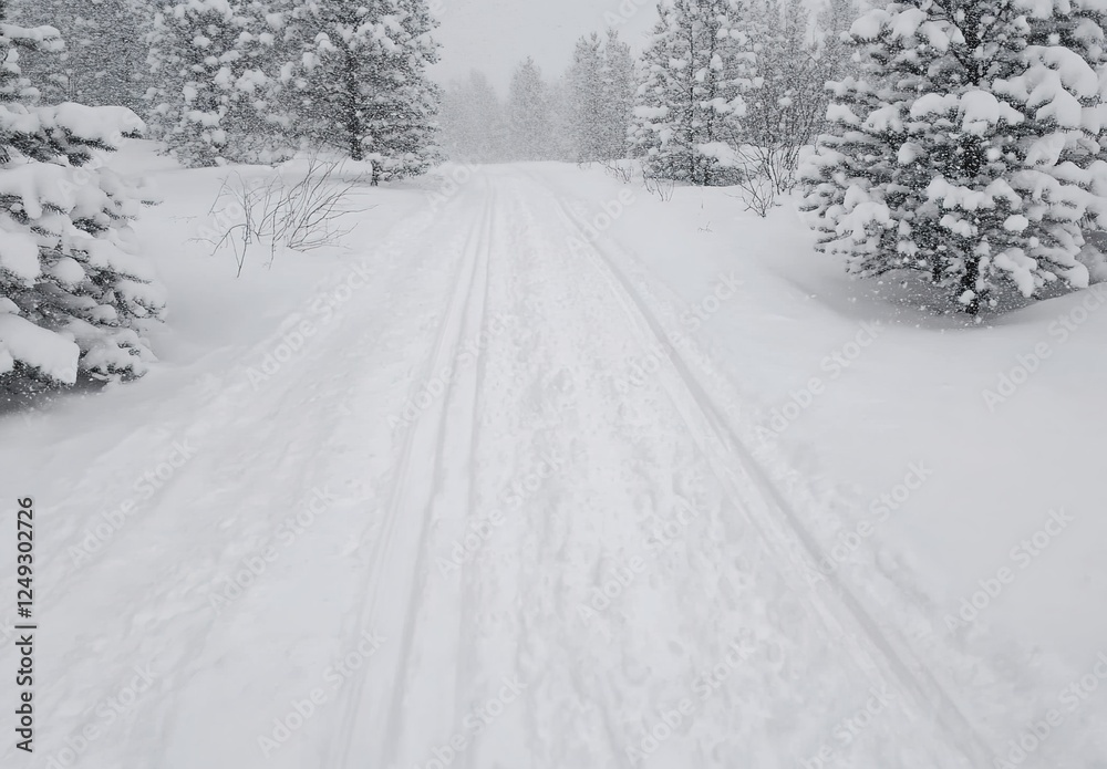 Obraz premium The snow-covered ground is marked with slaloming tracks