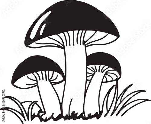 Mushroom vector illustration. Outline drawings of a cartoon mushrooms. Mushroom silhouette.