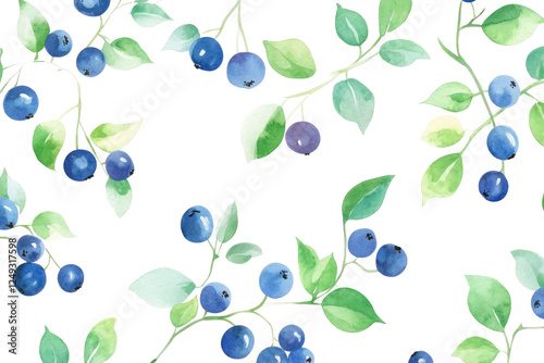 blueberry or bilberry patterns on transparent background