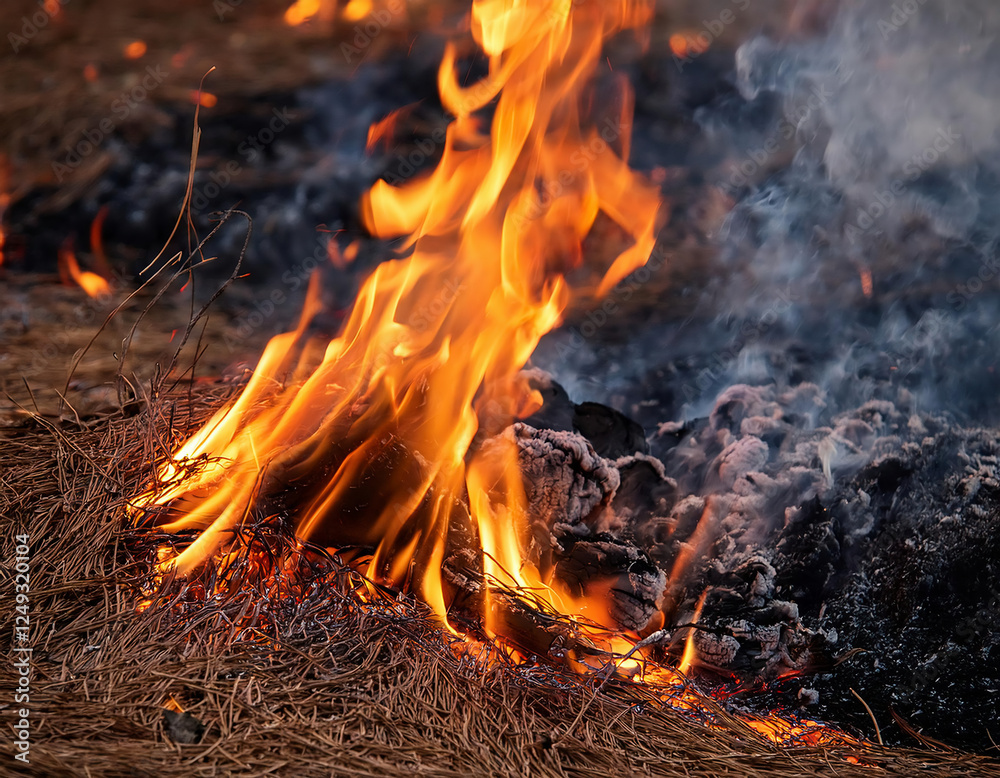 A small fire burns intensely among dry leaves and twigs in an outdoor setting. A small fire burns intensely among dry leaves and twigs in an outdoor setting.