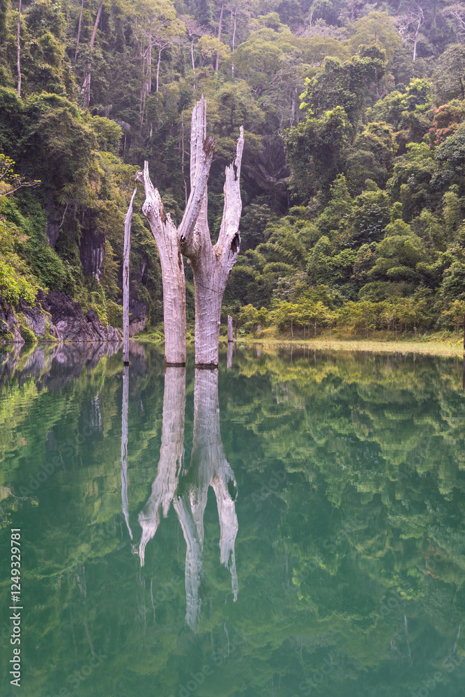 Khao Sok, Thailand: Tour boat on the stunning Khao Sok lake on a calm morning with a dead tree in water in southern Thailand Surat Thani province.