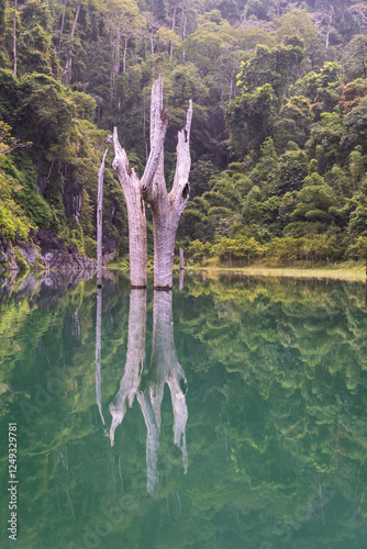 Obraz na płótnie Khao Sok, Thailand: Tour boat on the stunning Khao Sok lake on a calm morning with a dead tree in water in southern Thailand Surat Thani province. w salonie
