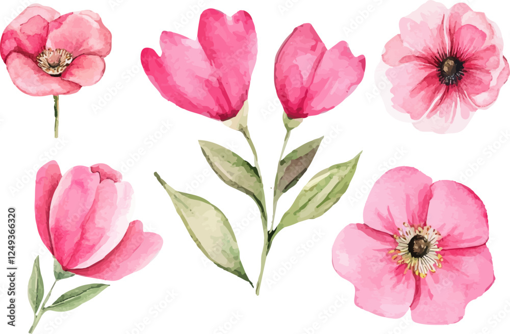 set of watercolor flowers set of watercolor flowers
