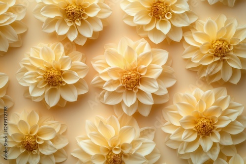 Beautiful cream flowers arranged in a delicate pattern on a soft background