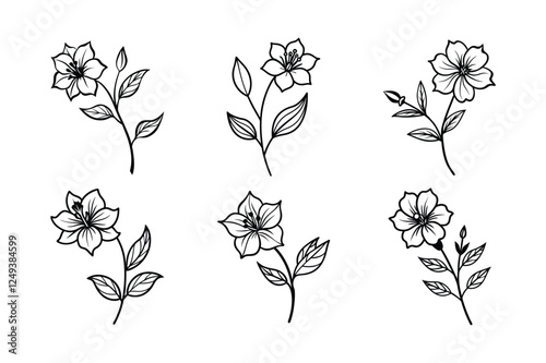 Checkerbloom (Sidalcea spp.) line art vector art illustration