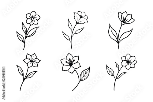 Checkerbloom (Sidalcea spp.) line art vector art illustration