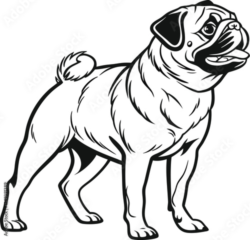 set of dogs and pug with bow tie vector illustration of cartoon dog