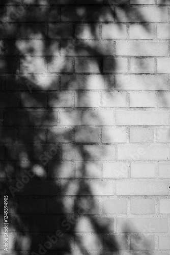 The shadows of the leaves and branches of a tree falling on a brick wall in black and white.
