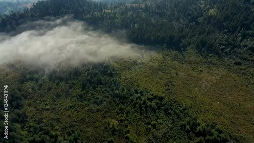 An aerial view shows fog and clouds over a green landscape filled with trees