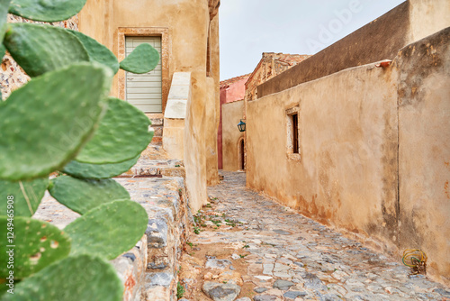 Fototapeta Naklejka Na Ścianę i Meble -  street in the old town of Monemvasia