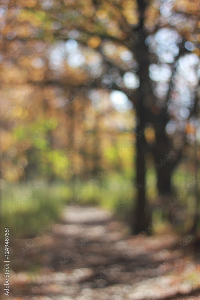 Fototapeta premium A blurry dreamy view of autumn in the forest.