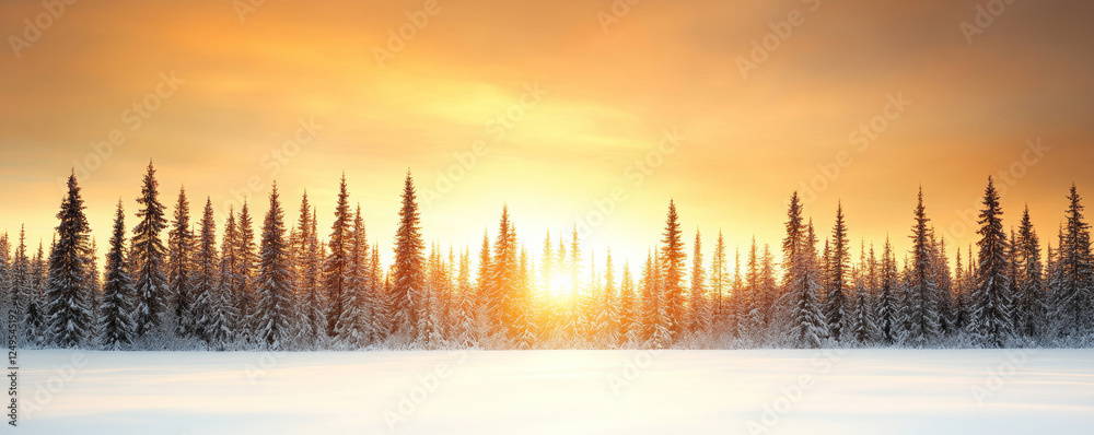 Obraz premium Breathtaking sunset casts fiery colors over a vast winter forest. Snow-covered branches reflect the vibrant hues, creating a dramatic and serene landscape scene