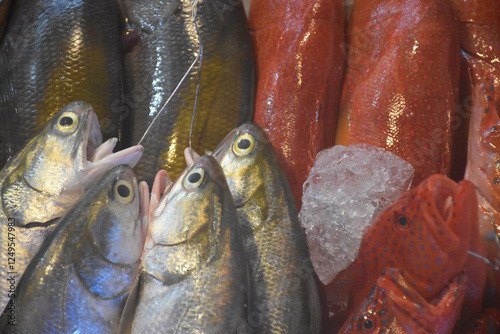 Close-up of fish at the fish market photo