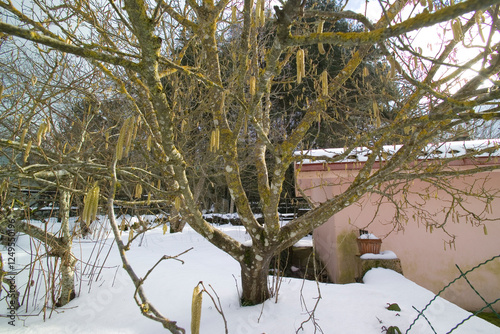 house in the snow in window, Foresta di Badde Salighe- Ortakis Bolotana Bonorva, Sardinia, Italy. photo