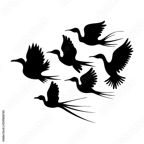 Silhouette of Birds in Flight – Dynamic Soaring Birds