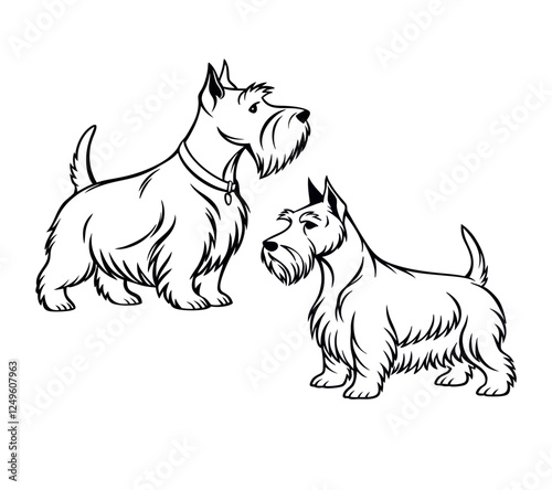 Create a minimalist, black-and-white line art illustration of a Scottish Terrier dog.The dog should have its signature bushy beard and eyebrows, perky ears, and a slightly curved tail. 