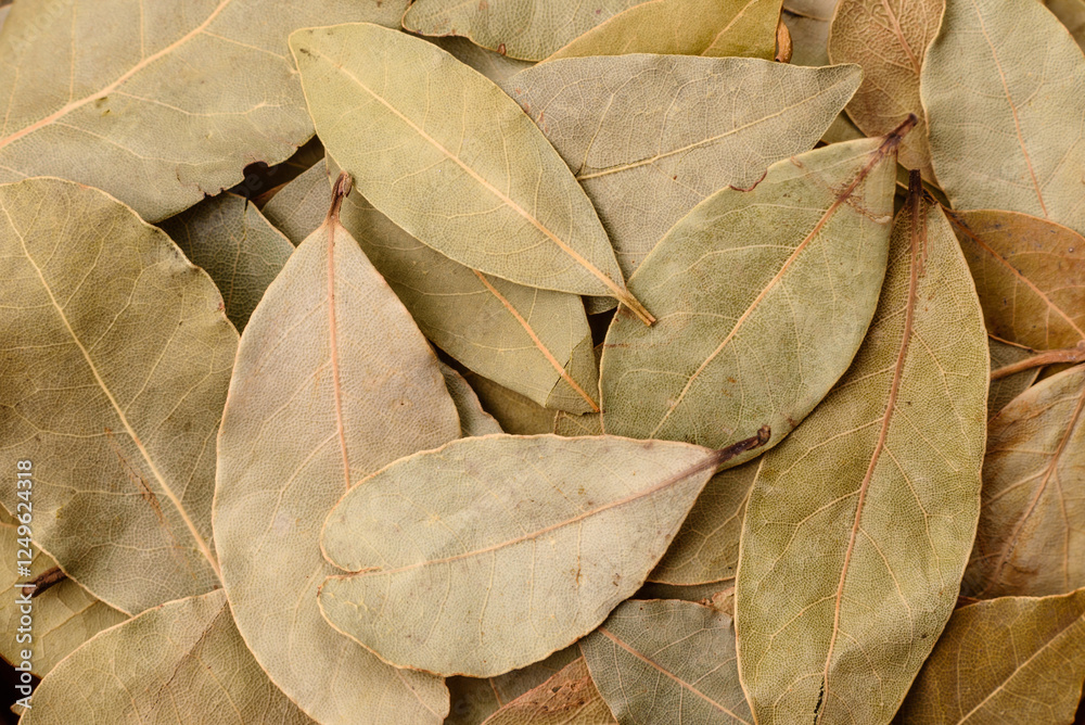 Dried bay leaves, spice, seasoning for cooking at home Dried bay leaves, spice, seasoning for cooking at home