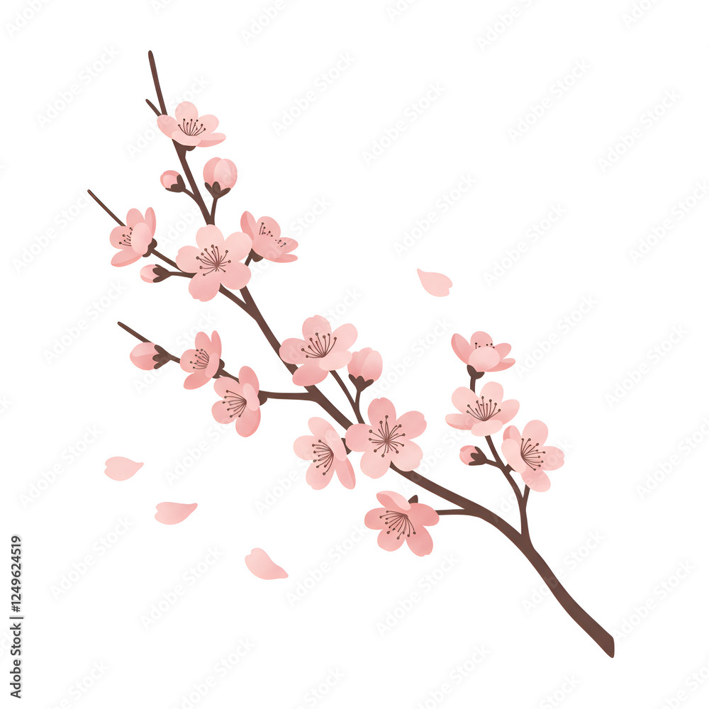 Light Pink Cherry Blossom with Fine Branches and Elegant Petals Light Pink Cherry Blossom with Fine Branches and Elegant Petals