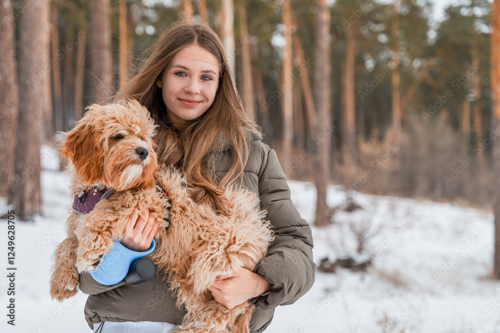 Atmospheric portrait of a curly-haired brown poodle dog in the arms of young woman in a deserted frosty snowy forest, Nordic and Scandinavian mood. Dog is best friend of teenage girl. Travel with dog Atmospheric portrait of a curly-haired brown poodle dog in the arms of young woman in a deserted frosty snowy forest, Nordic and Scandinavian mood. Dog is best friend of teenage girl. Travel with dog