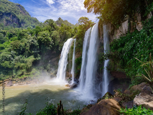 Beautiful waterfall in a tropical  rainforest
