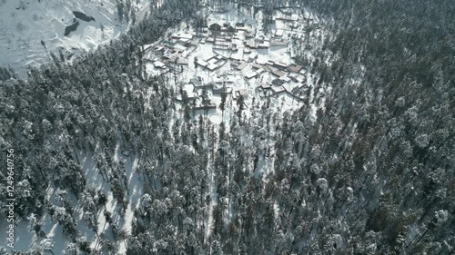 Aerial drone forward-moving shot, flying over a dense coniferous forest covered with white snow on a cold winter day in Pakistan, Kalam, Swat.