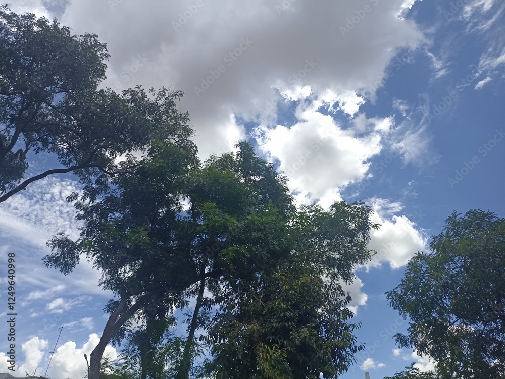 Obraz premium sky and clouds