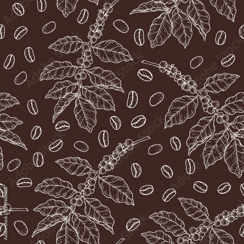 Seamless pattern with coffee bean, coffee tree branches and leaves sketch. Hand drawn vector illustration. Engraved style.