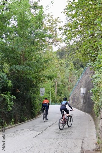 Two Cyclists Riding Uphill on a Scenic Forest Road Surrounded by Lush Greenery