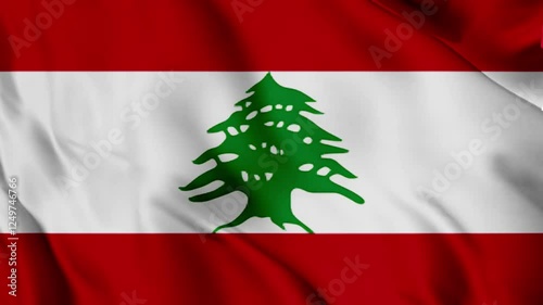 waving flag 