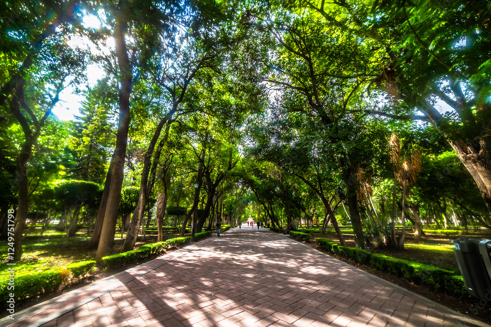 Obraz premium Alameda Hidalgo Park in Queretaro 