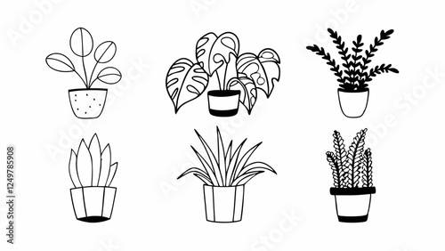 Set of isolated houseplants in pots - Detailed vector illustration on white background, including monstera, ficus, sansevieria, fern, pilea and succulent