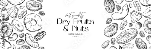 Dried fruits and nuts drawing. Vector label template.